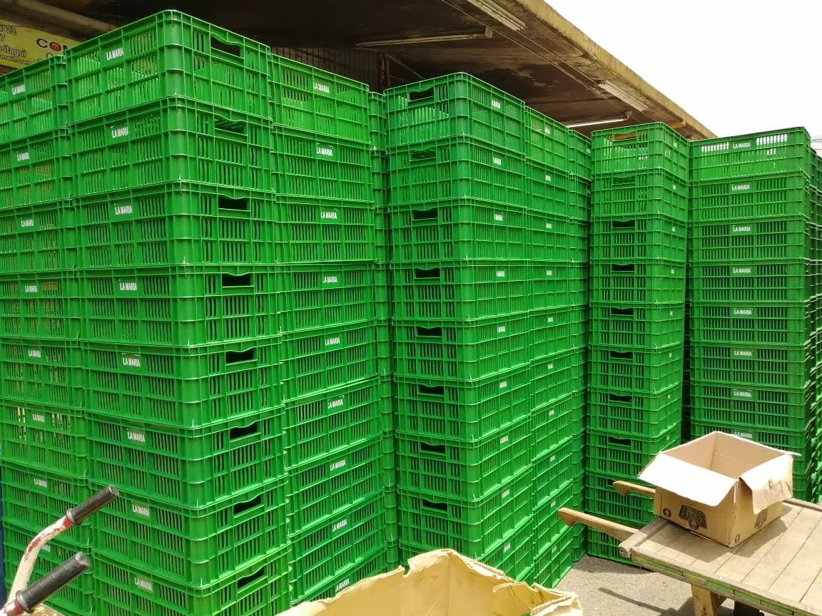 Canastillas apiladas en una bodega
